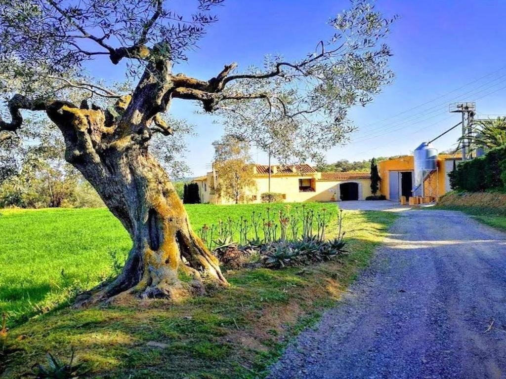 Rural Mas Hortus Villa Girona Eksteriør bilde
